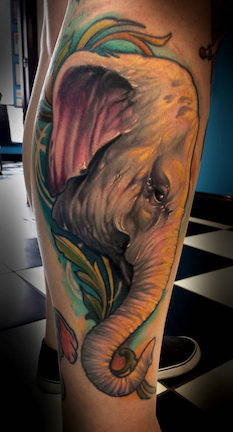 Color realism elephant